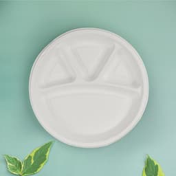Weavers FZ TSW Round 4C Plate 12" -10 PCS image 0