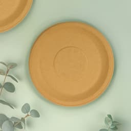 Weavers FZ TSW Bagasse Round Plate 11" -10 PCS image 0